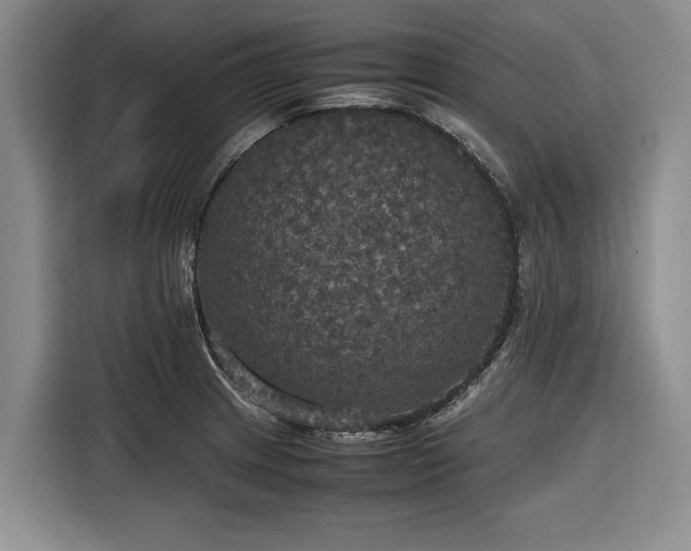 X0000116581233200912171517