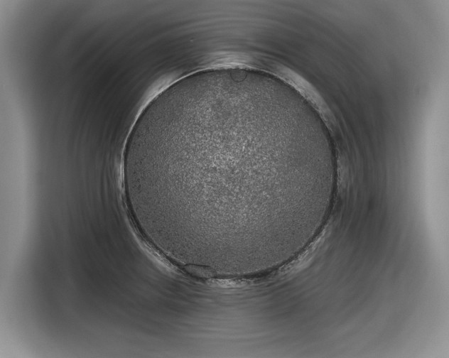 X0000116581234200912171517