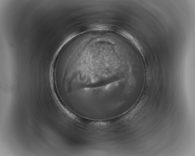 X0000116581235200912171517