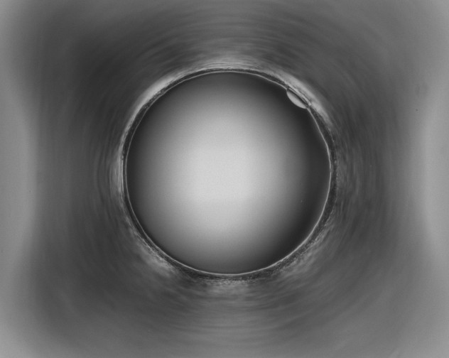 X0000116581238200912171517