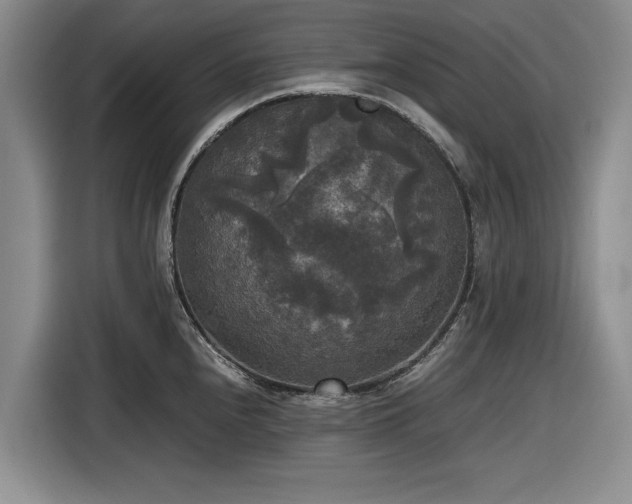 X0000116581240200912171517