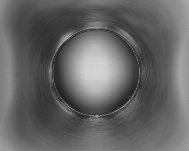 X0000116581242200912171517