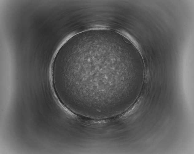 X0000116581243200912171517