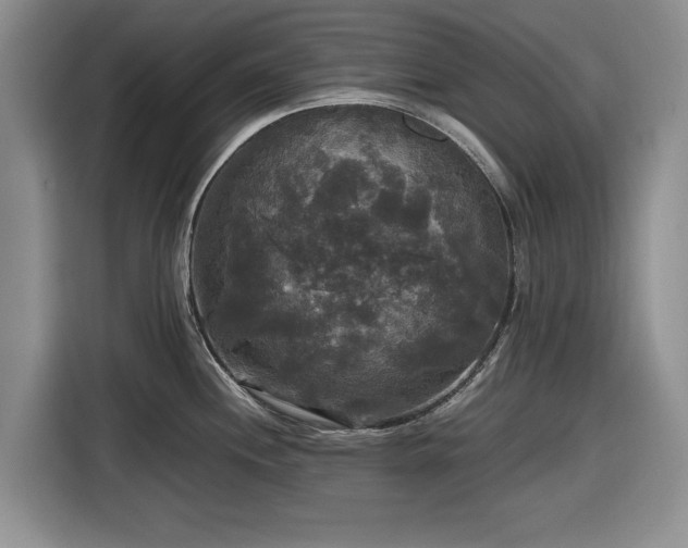 X0000116581244200912171517