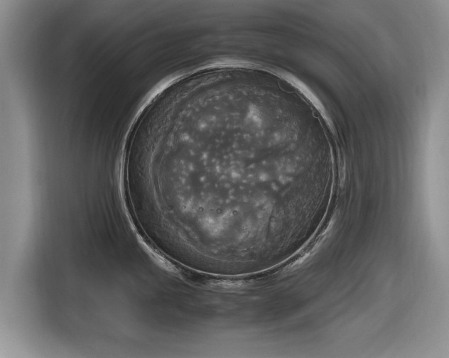 X0000116581245200912171517