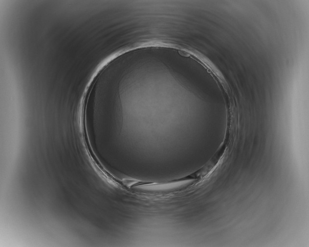 X0000116581246200912171517