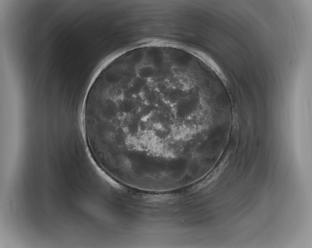 X0000116581247200912171517