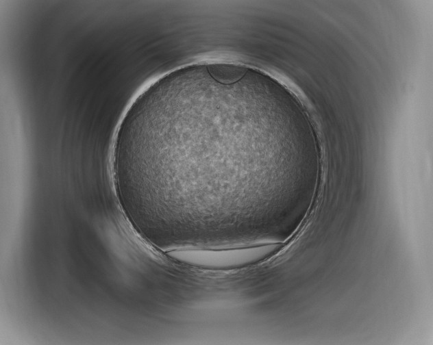 X0000116581248200912171517