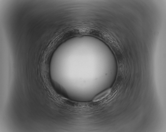 X0000116581249200912171517