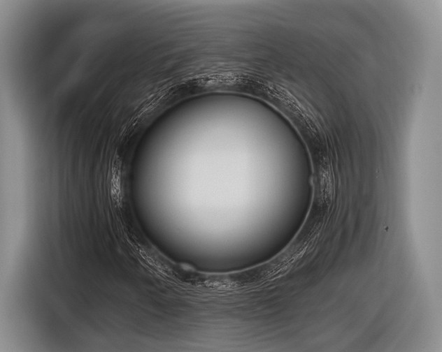 X0000116581250200912171517