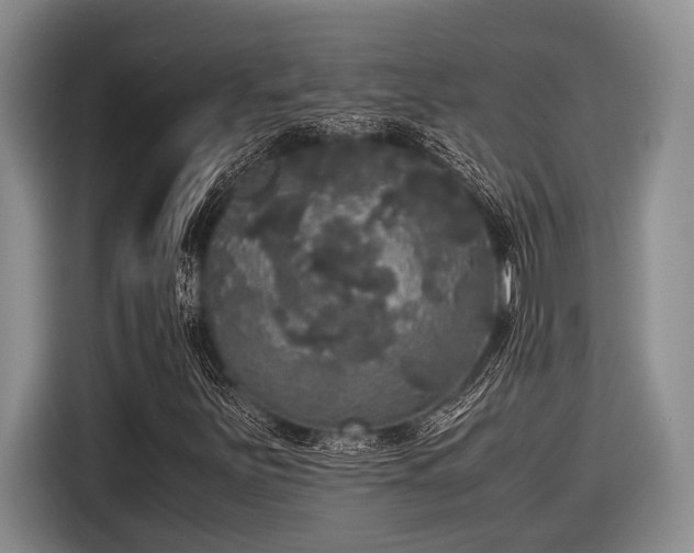 X0000116581251200912171517