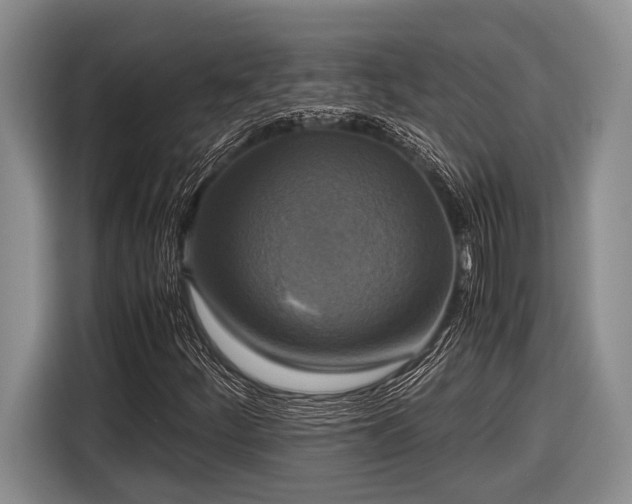 X0000116581252200912171517