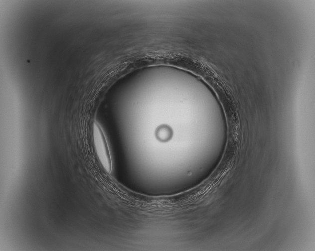 X0000116581253200912171517