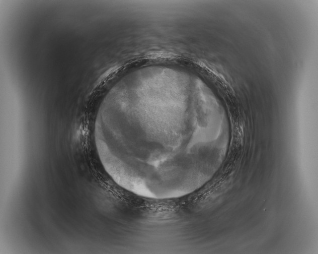 X0000116581254200912171517