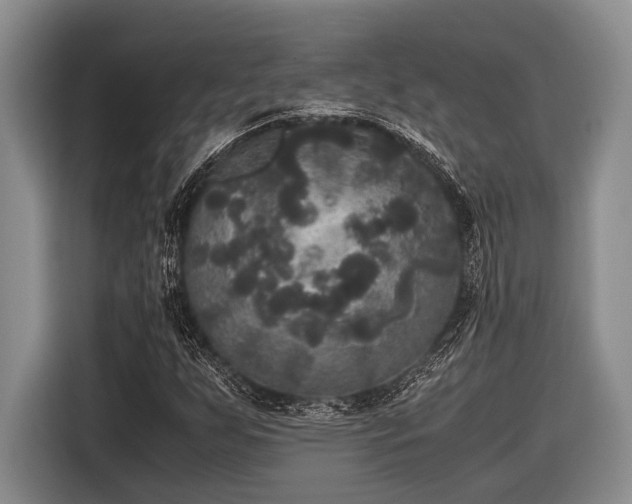 X0000116581255200912171517