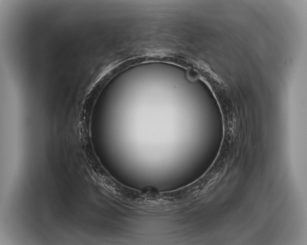 X0000116581256200912171517