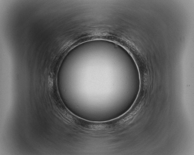 X0000116581257200912171517