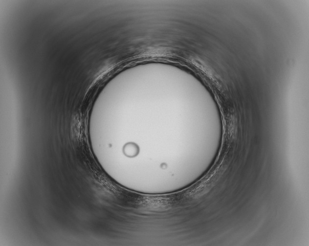 X0000116581258200912171517