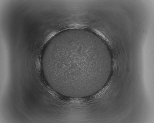 X0000116581259200912171517