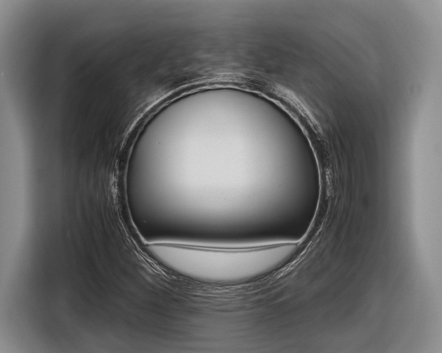 X0000116581260200912171517