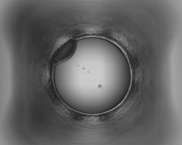 X0000116581261200912171517