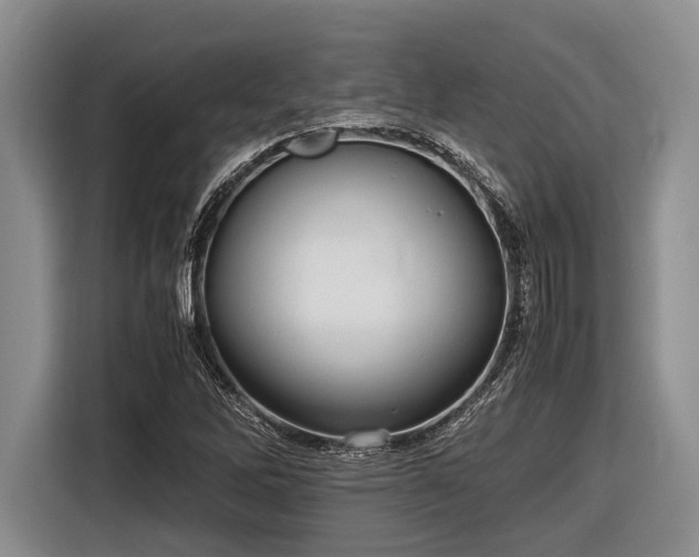 X0000116581262200912171517