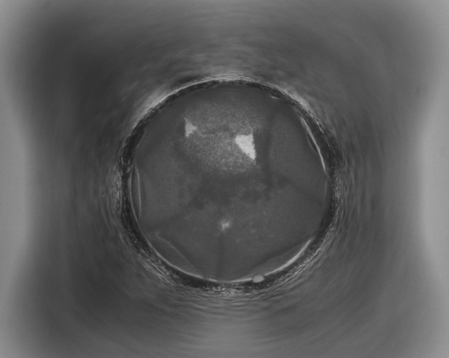 X0000116581263200912171517