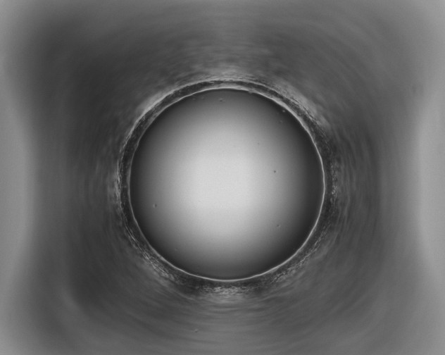 X0000116581264200912171517