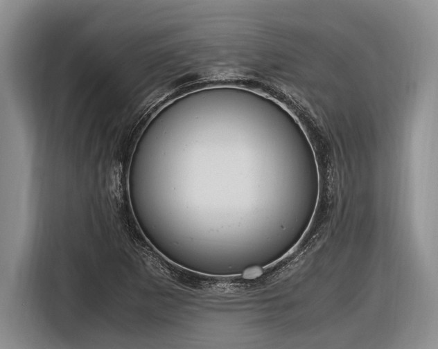 X0000116581265200912171517