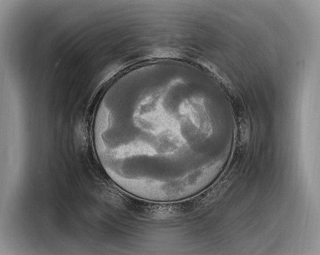 X0000116581266200912171517