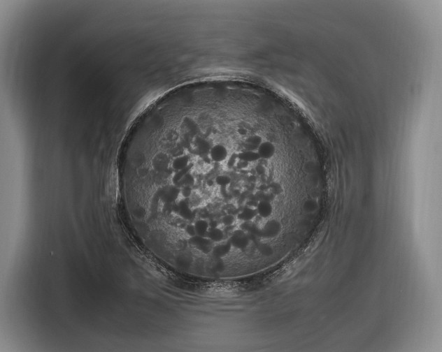 X0000116581267200912171516