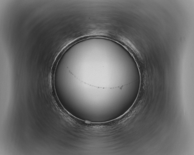 X0000116581268200912171516