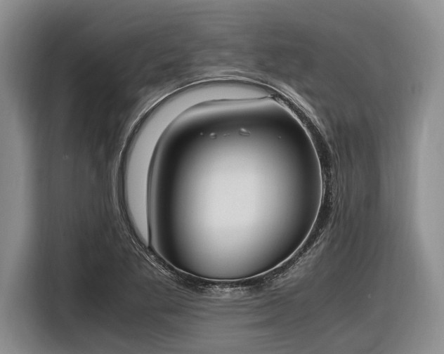 X0000116581269200912171516