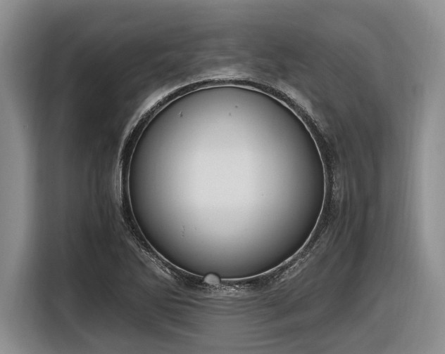 X0000116581270200912171516