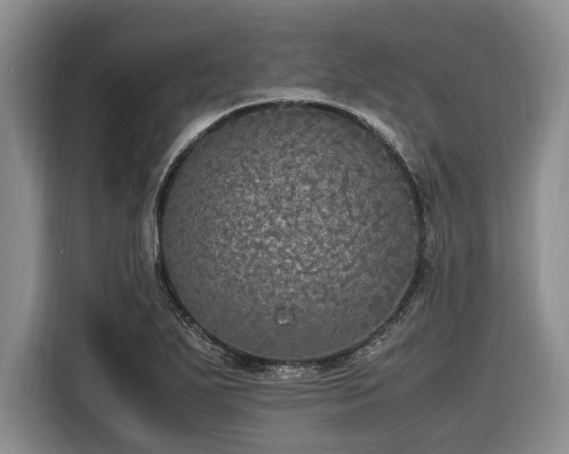 X0000116581271200912171516