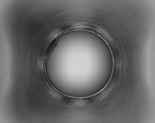 X0000116581273200912171516