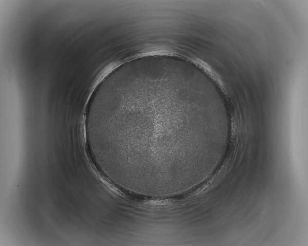 X0000116581274200912171516