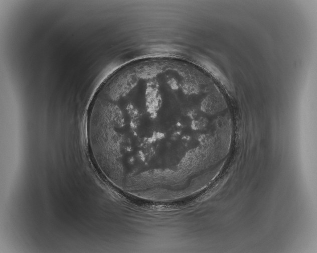 X0000116581275200912171516