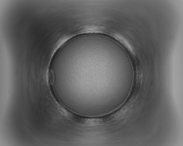 X0000116581277200912171516