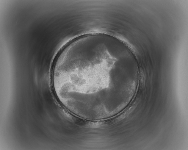 X0000116581278200912171516