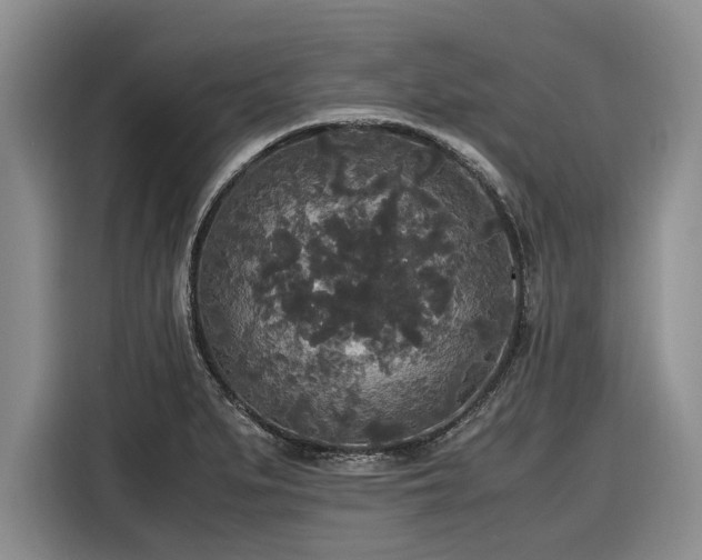 X0000116581279200912171516