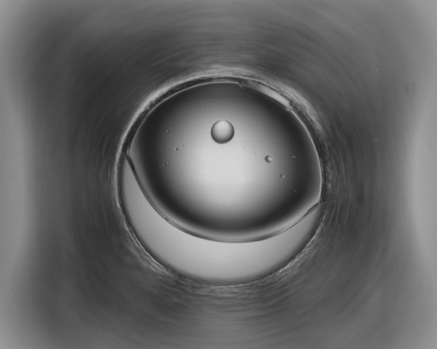 X0000116581280200912171516