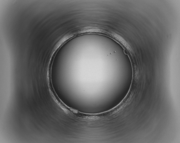 X0000116581282200912171516