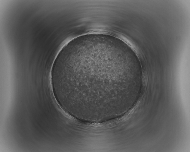 X0000116581283200912171516