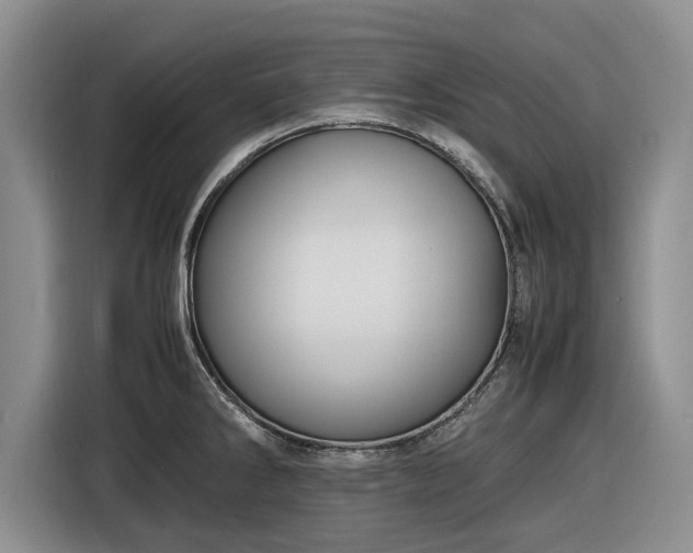 X0000116581286200912171516