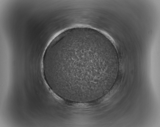 X0000116581287200912171516