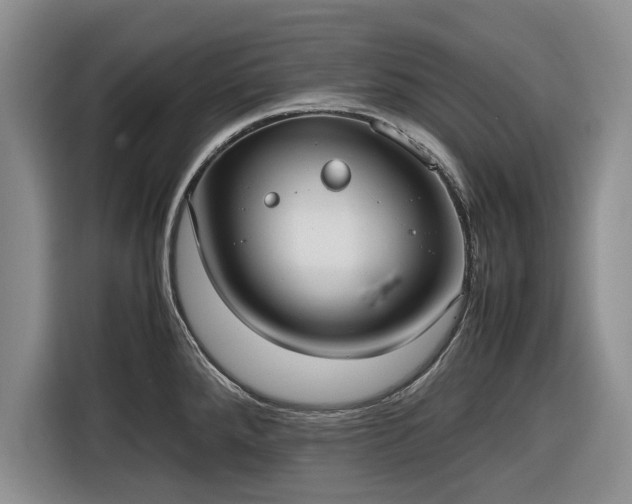 X0000116581288200912171516