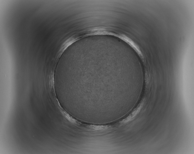 X0000116581289200912171516