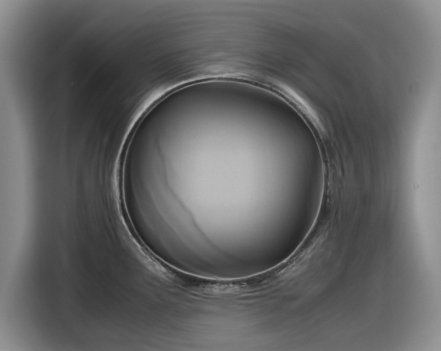 X0000116581291200912171516