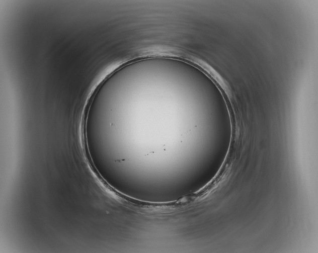 X0000116581293200912171516